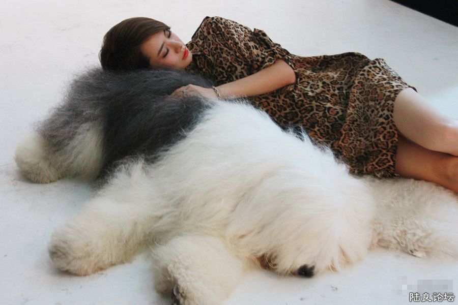 ���� (7).jpg