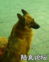 ����ǰ��