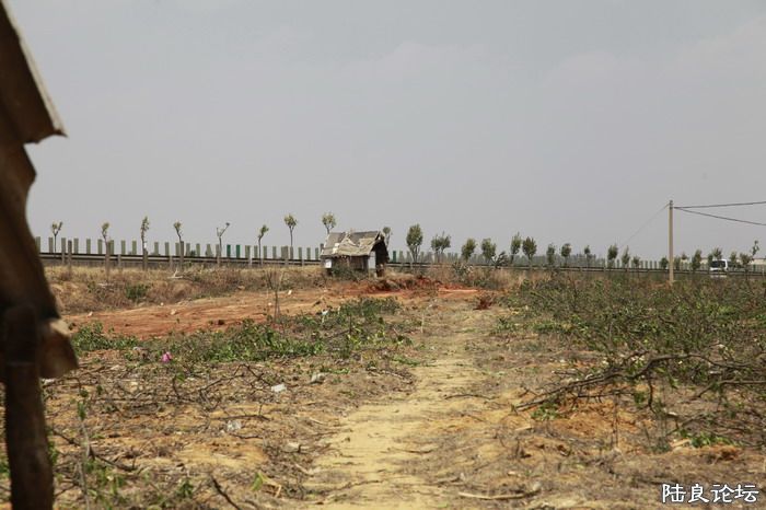 �ǵأ����﷿���վ��ѳ�Ϊ��ȥ