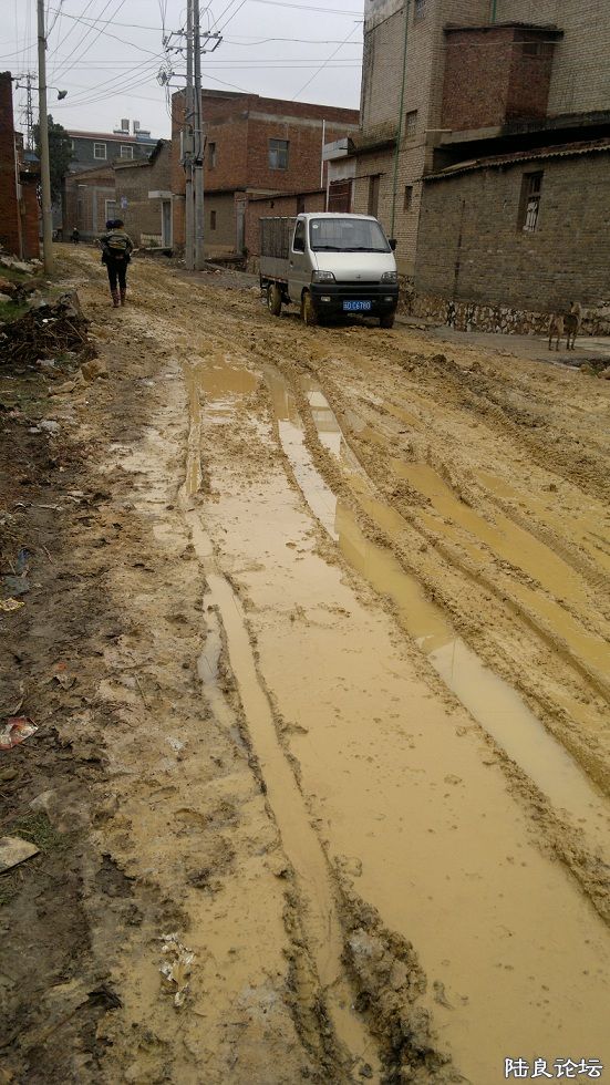 ������ѧ���ް�