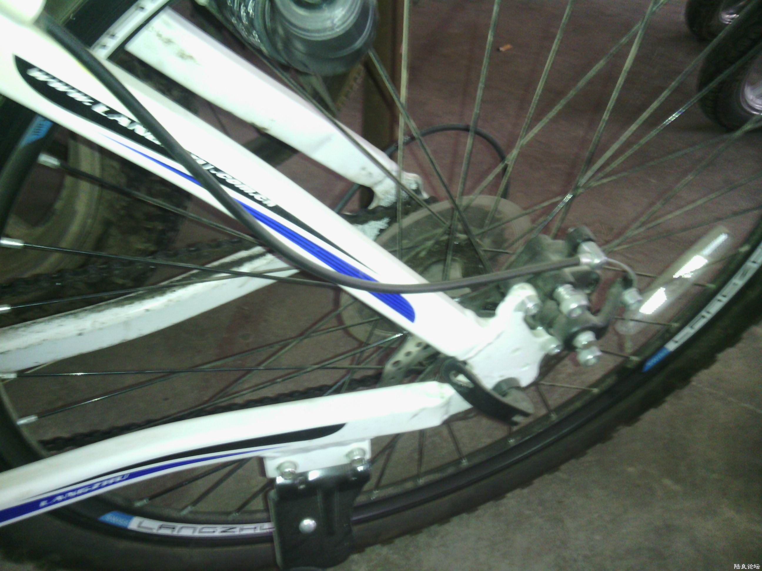 ǰ���е��ɲ