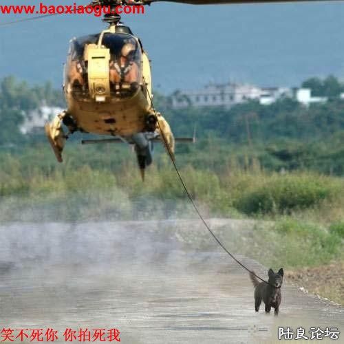 ���ݳ޵��޹�