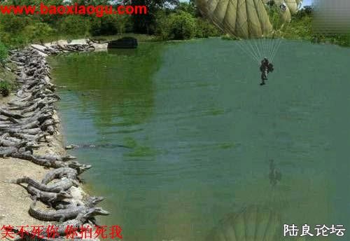 Ҫ������