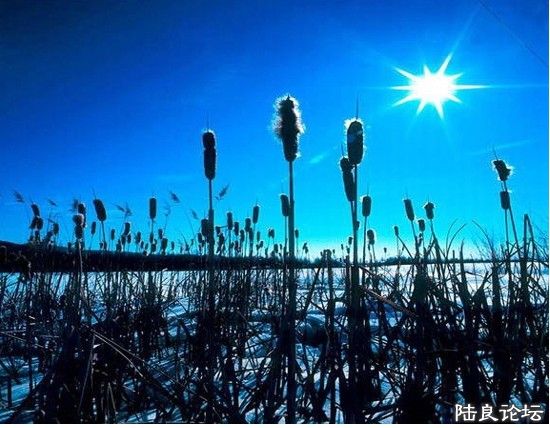 �Ұ����� (13).jpg