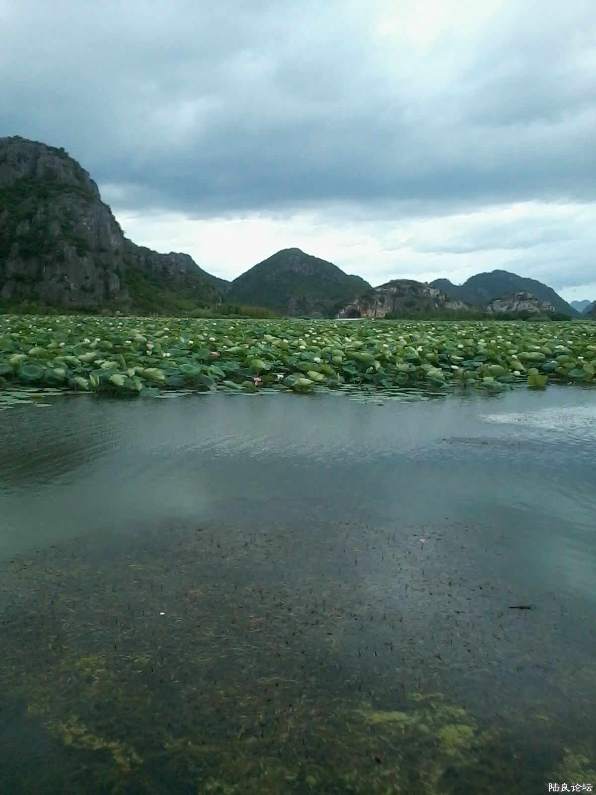 ��Ư���⾰