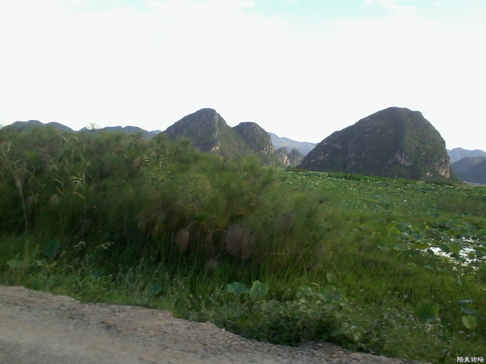 ��Ư���⾰