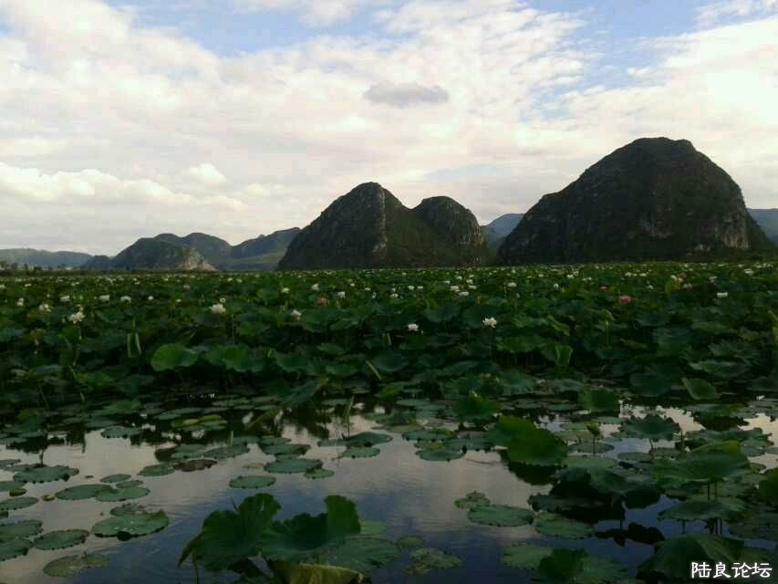 ��Ư���⾰