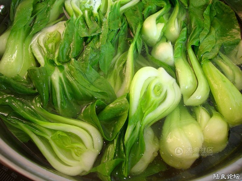 ˮ�м������κ��ͣ��տ����̲��ġ������̹����߲��ܱ��ֺܺõ�ɫ��