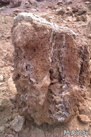 4-C5768676-1424402-480 - ����.jpg