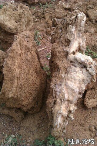 4-7697823C-1456002-480 - ����.jpg