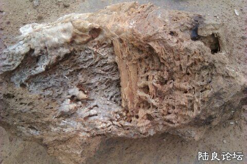 4-F8F27E36-1285793-480 - ���� - ����.jpg