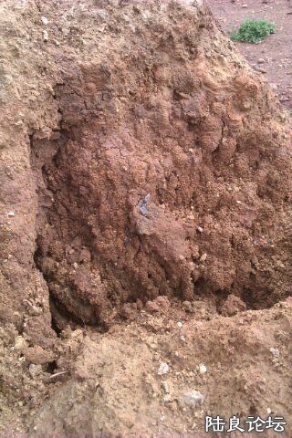 4-AC6D0172-1667152-480 - ����.jpg