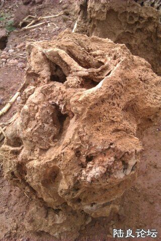 4-CD9CE48F-1338298-480 - ����.jpg