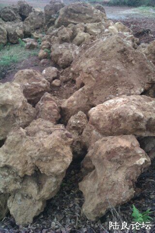 4-A4041A9B-1019425-480 - ����.jpg