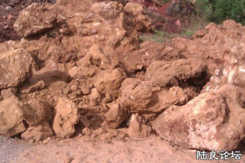 4-D9DE348F-1016065-480 - ����.jpg