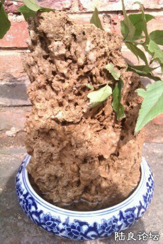 4-94586702-1090671-480 - ����.jpg