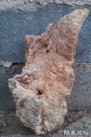 4-667544A8-1390242-480 - ����.jpg