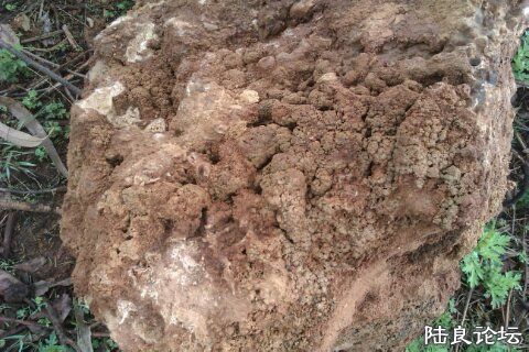 4-B481A73F-1563017-480 - ����.jpg