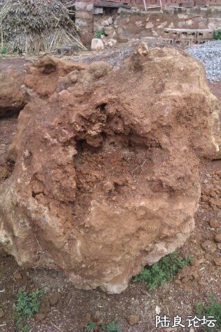 4-E568107B-1291474-480 - ���� - ����.jpg