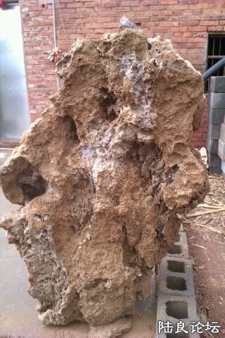 4-AB4D6666-1286728-480 - ����.jpg