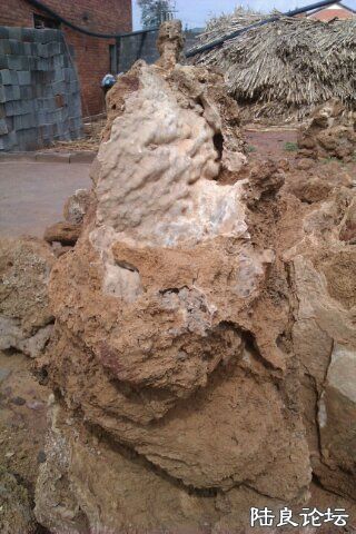 4-A9326267-1283958-480 - ����.jpg