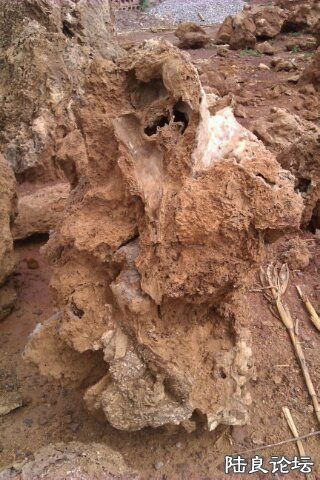 4-A4A4D672-1435670-480 - ����.jpg