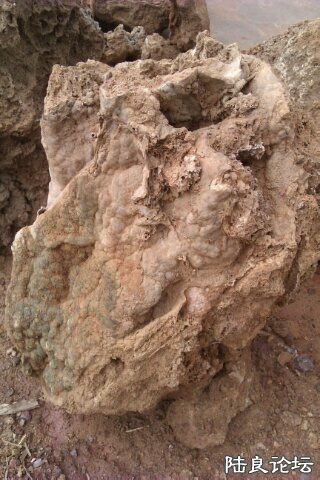 4-C6142B3E-1365306-480 - ����.jpg