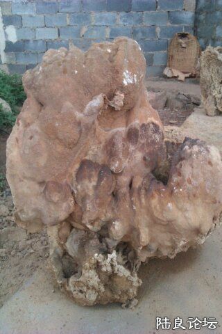 4-B8836F1B-950008-480 - ����.jpg