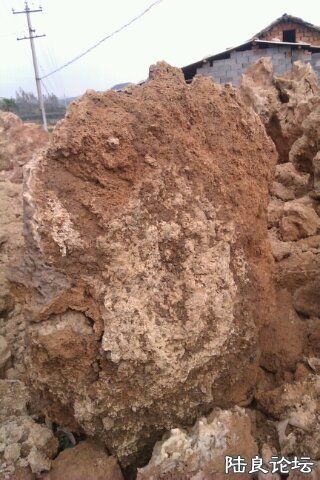 4-D467D63E-1251684-480 - ����.jpg