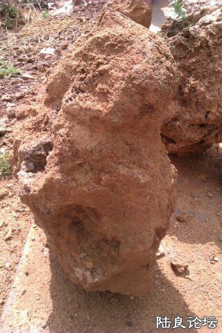 4-B5DA02B2-1557288-480 - ����.jpg