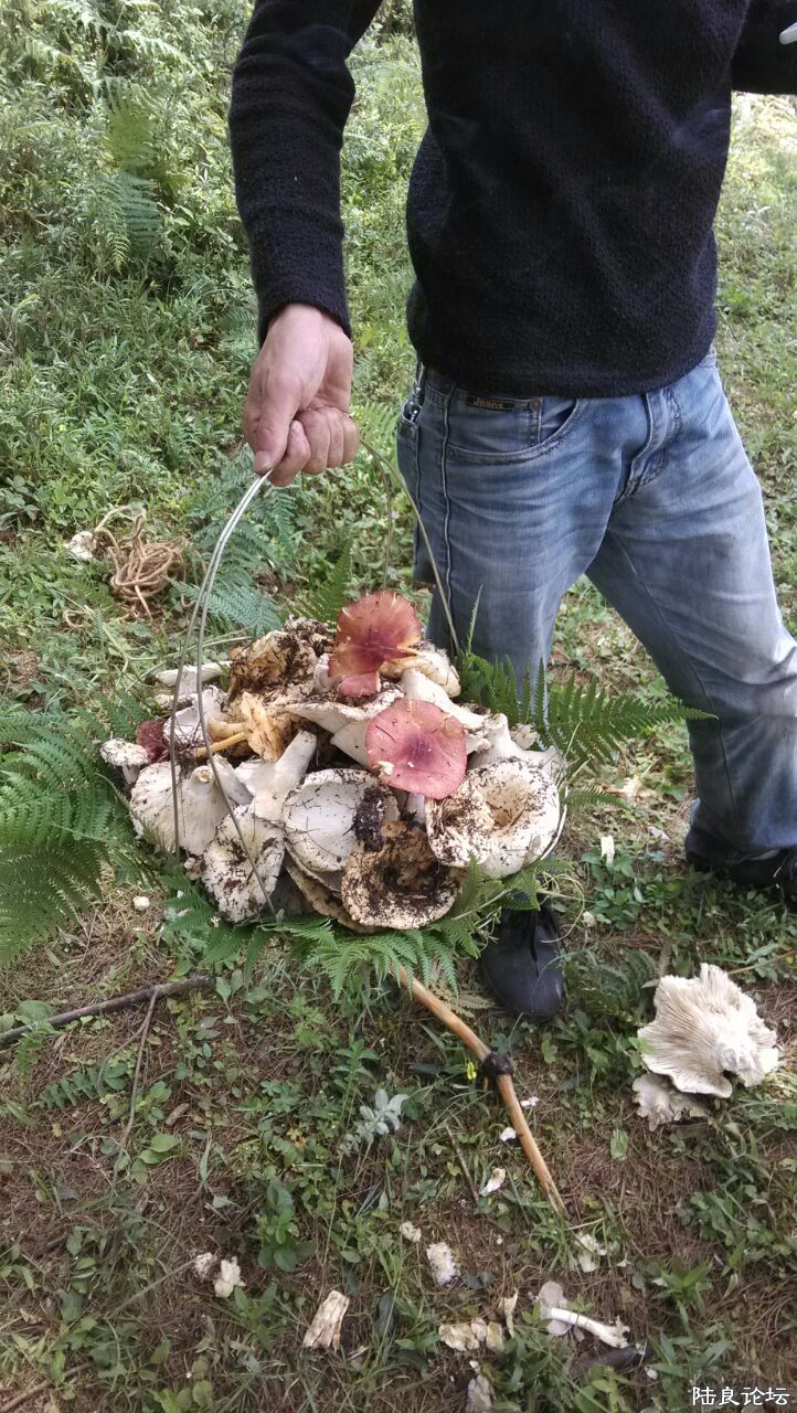 ׼�����ط�