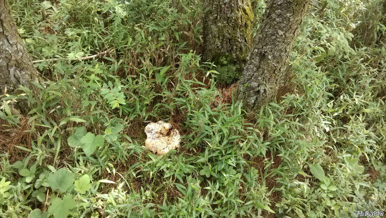 ����һ������