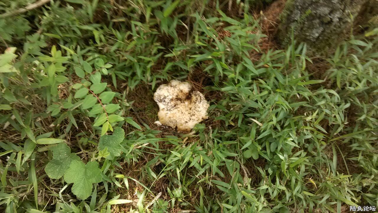 ����һ������