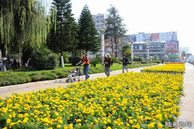 ������С DSC_2221.JPG