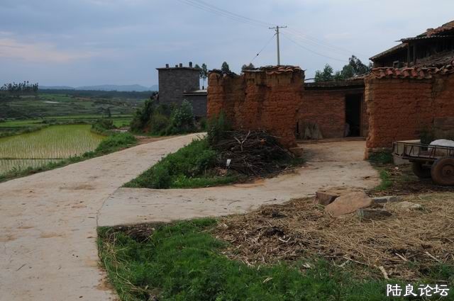 ������С DSC_8429.JPG