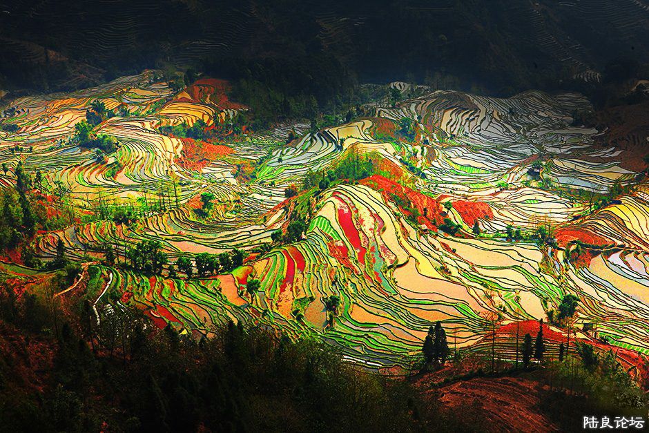 �ﵽԪ�� ���ߣ���˳��