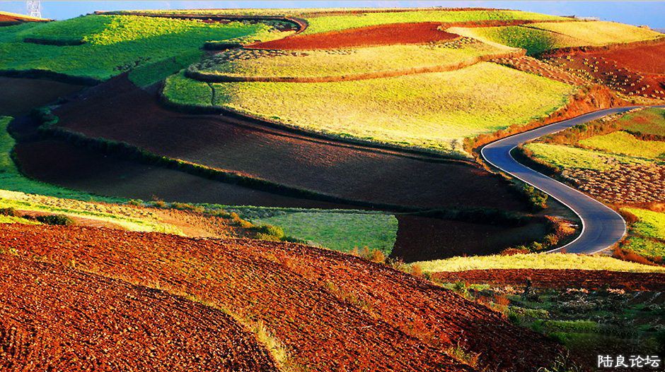 ���������� ���ߣ�������