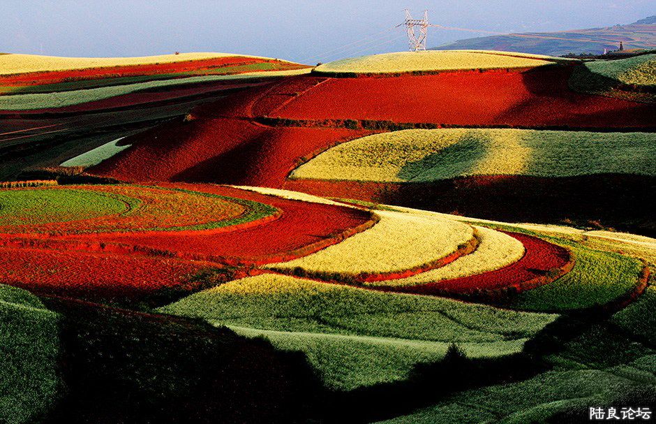 ������ ���ߣ��Թ���