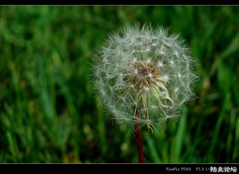 ��  ��   (2).jpg