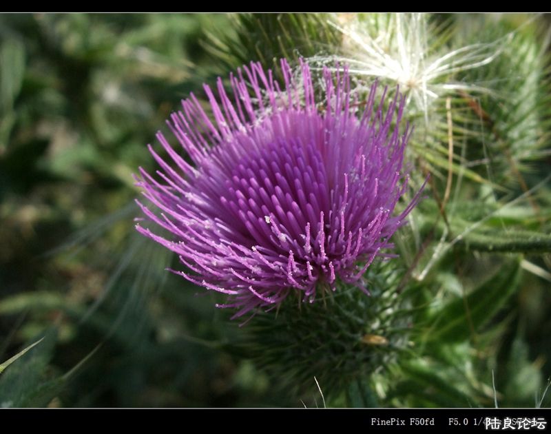 ��  ��   (3).jpg