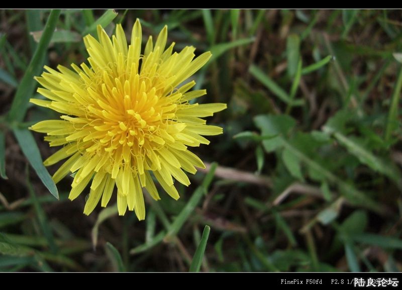 ��  ��   (4).jpg