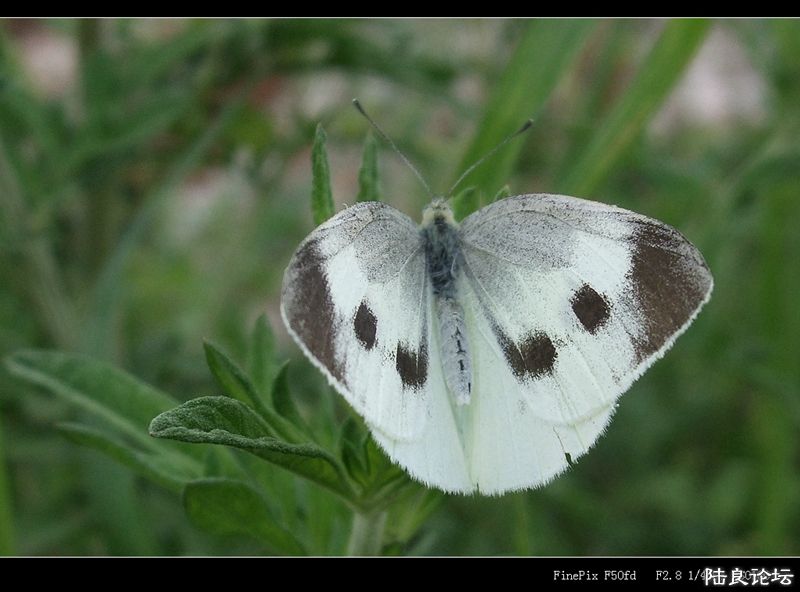 ��  ��   (5).jpg