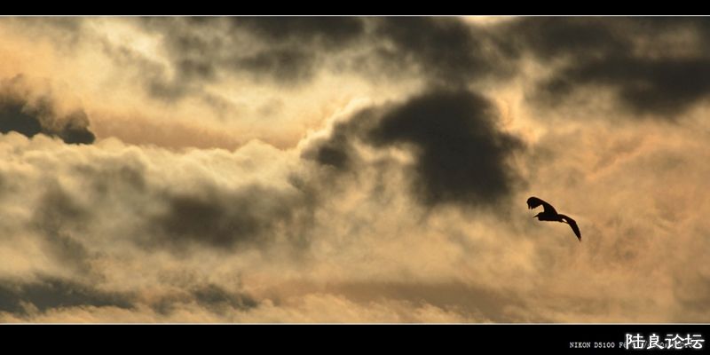 ��  ��   (11).jpg