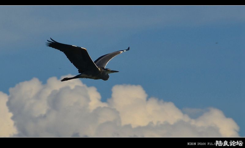 ��  ��   (13).jpg