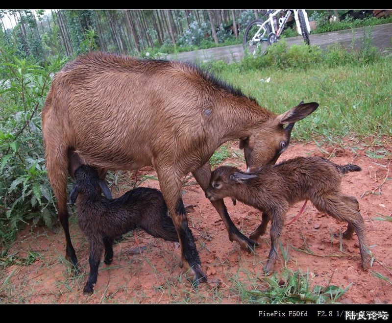 ��  ��   (16).jpg