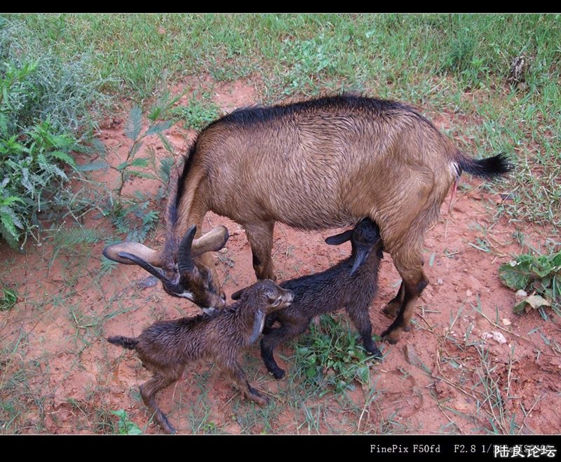 ��  ��   (17).jpg