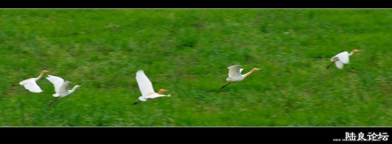 ��  ��   (21).jpg