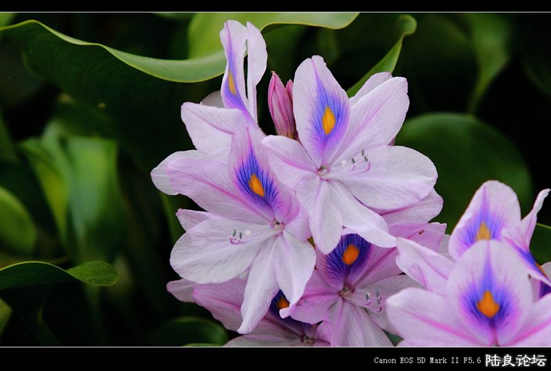 ��  ��   (22).jpg