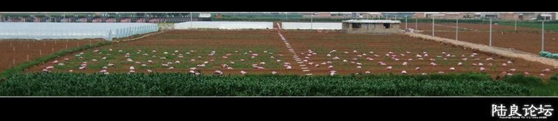 ��  ��   (24).jpg