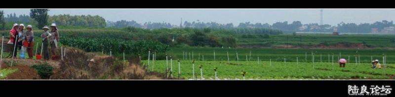 ��  ��   (26).jpg